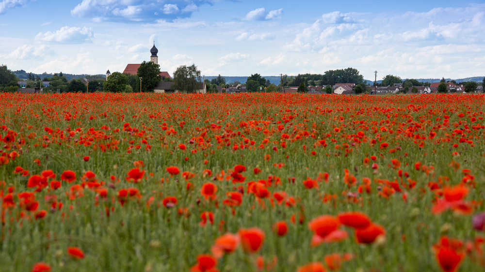 Platz 10 Willi Bitzer